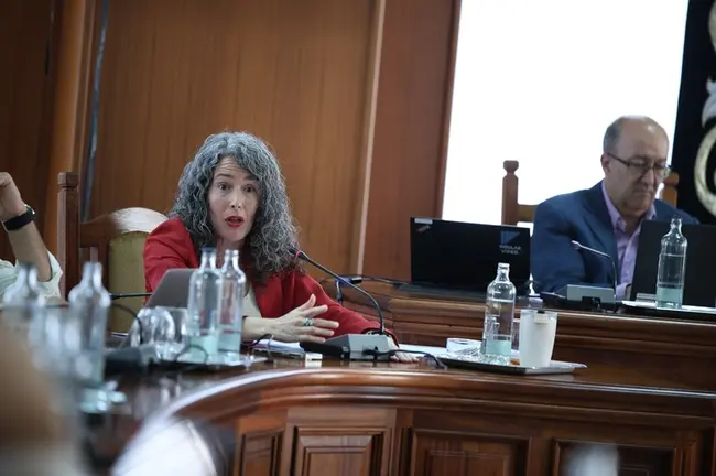 Ariagona Gonz&aacute;lez en el Pleno del Cabildo.