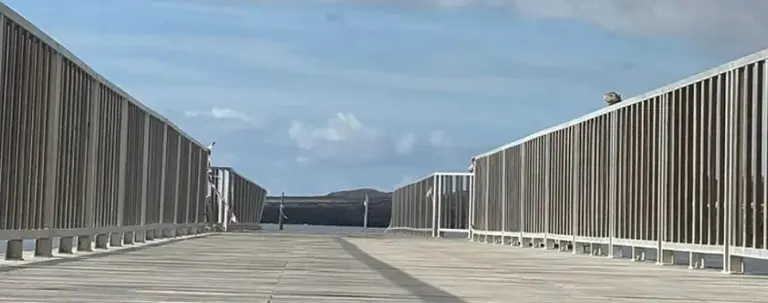 Imagen de la pasarela de Arrieta. 