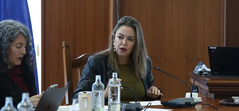 Mar&iacute;a Dolores Corujo en el centro de la imagen en un pleno del Cabildo junto a su compa&ntilde;era Ariagona Gonz&aacute;lez.
