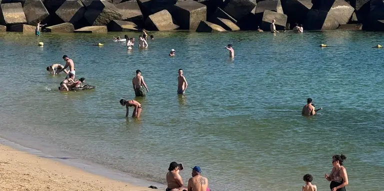 Aguas de playa Flamingo con un color verde generado por la proliferaci&oacute;n de microalgas.