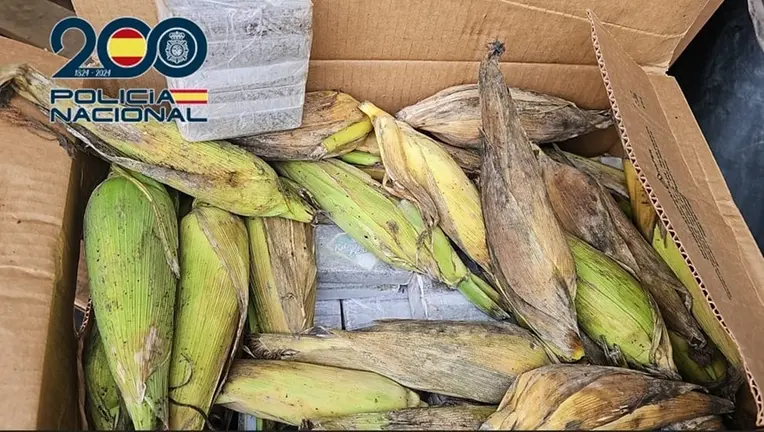 Droga incautada por la Polic&iacute;a Nacional.