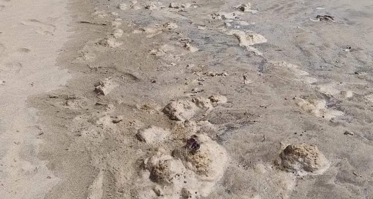 Presencia de los restos fecales este pasado fin de semana donde Sanidad tom&oacute; muestras en la Punta del Camello, junto al aliviadero del Consorcio del Agua de Lanzarote.