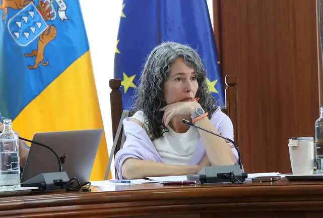 Ariagona Gonz&aacute;lez en el pleno del Cabildo de Lanzarote.