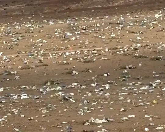 Bolsas en la zona de Zonzamas.