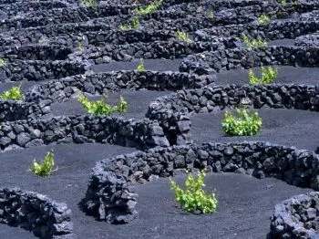 EL LANZAROTE PLAYAS DEL SUR OFRECIÓ UNA BUENA IMAGEN EN ESTE PARTIDO. 