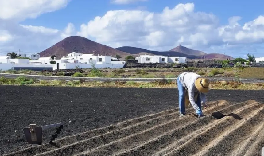 Imagen de una de las pocas personas que todavía se dedica al campo en Lanzarote.