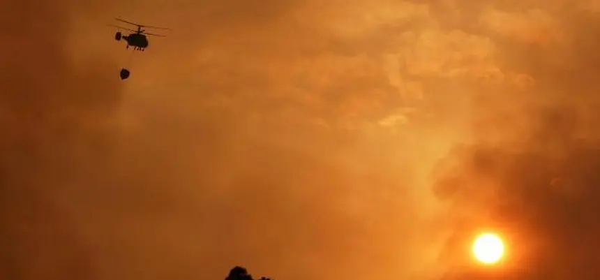 incendio la palma