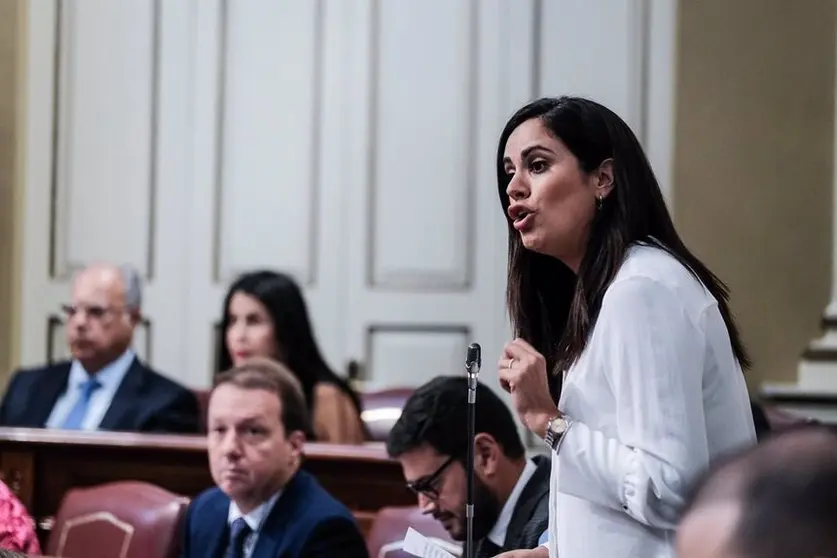 Vidina Espino, portavoz del Grupo Mixto.