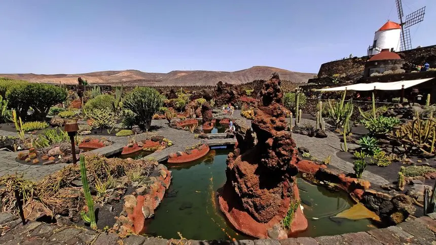 Jardin de Cactus 2020 (16)