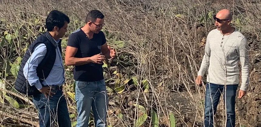 Los concejales del PSOE visitaron la deteriorada zona de tuneras de Guatiza.