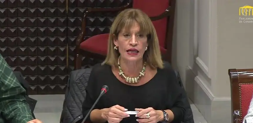 Esther González durante la comisión parlamentaria.