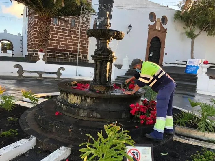 FLORES PASCUA EN LA VILLA