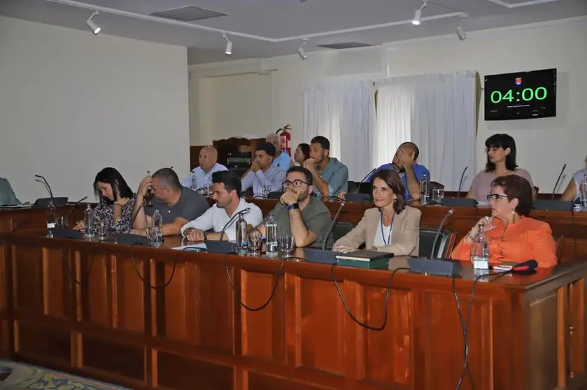 pleno arrecife, cc