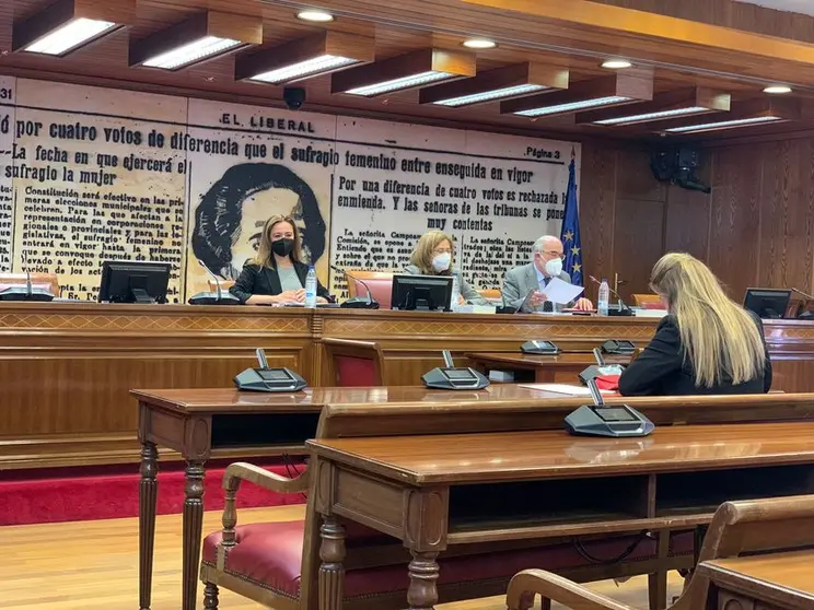 Dolores Corujo en el Senado  (4)