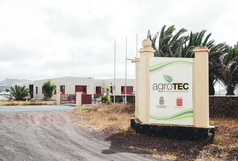 ENTRADA CENTRO AGROTEC (COMPLEJO) TEGUISE