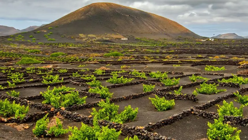 Zona de La Geria en la que están ubicadas las bodegas.