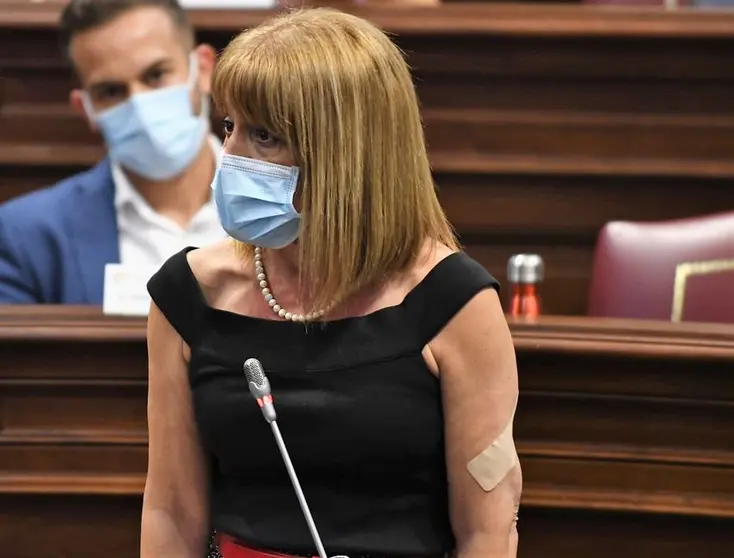 Esther González, portavoz sanitaria de Nueva Canarias (NC) en el Parlamento.