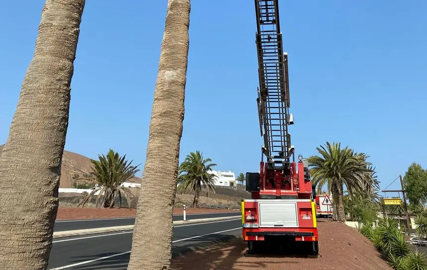 Los bomberos impidieron que la palmera cayera sobre un conocido local de la zona