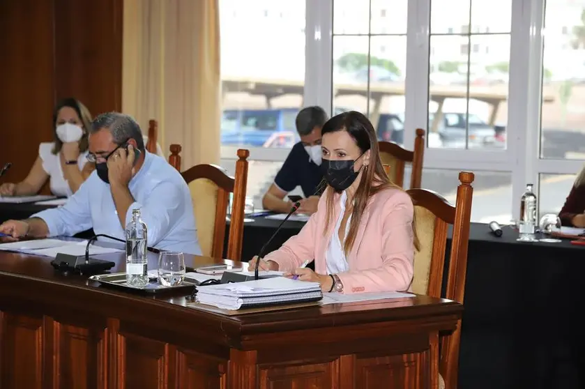 Pleno Cabildo Noviembre (3)