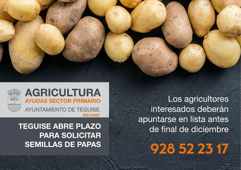 SEMILLAS DE PAPAS TEGUISE