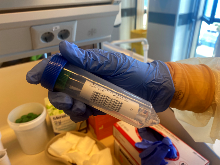 PCR