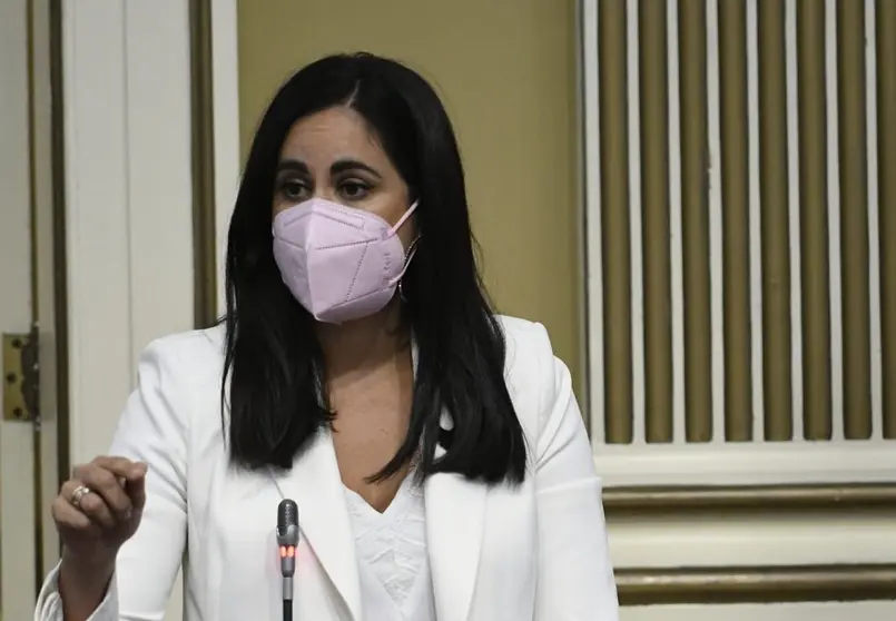 Vidina Espino en el Parlamento autonómico.