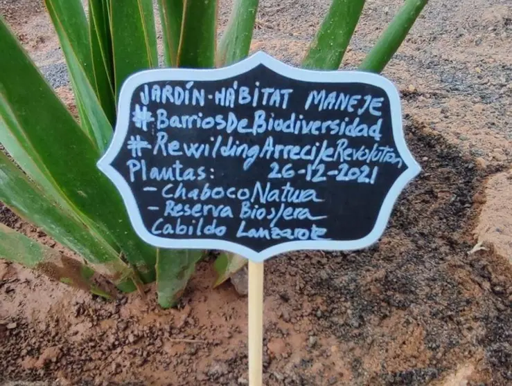 Plantas autóctonas de Maneje