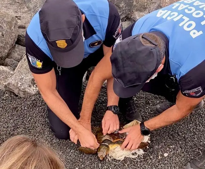 Los agentes de la Policía Local con la tortuga