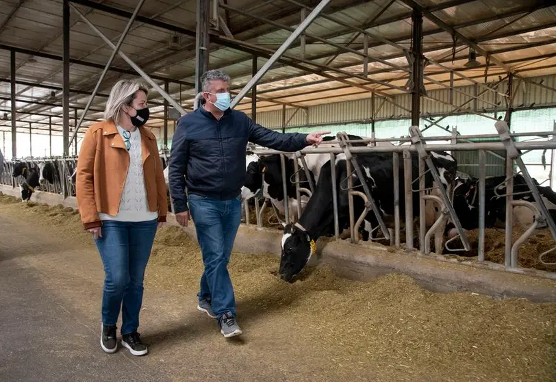 La consejera de Agricultura, Ganadería y Pesca del Gobierno de Canarias, Alicia Vanoostende, durante una visita reciente a la explotación de ganado vacuno.