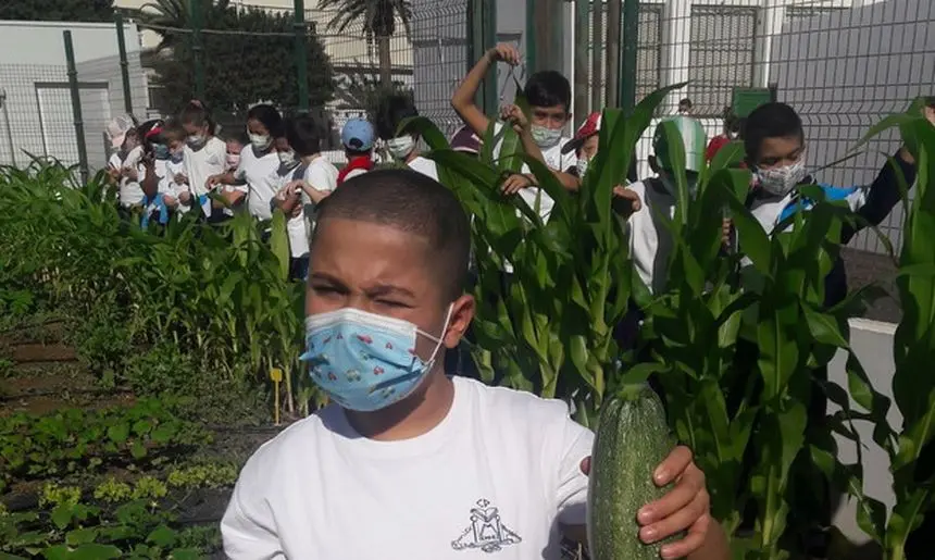 proyecto escolar 