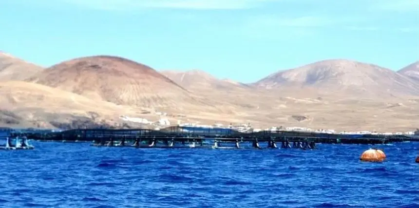 Imagen de las jaulas marinas que hay en Lanzarote