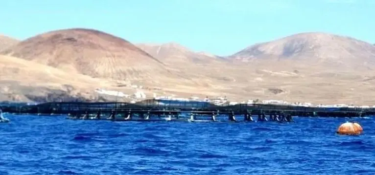 Imagen de las jaulas marinas que estaban instaladas en Playa Quemada