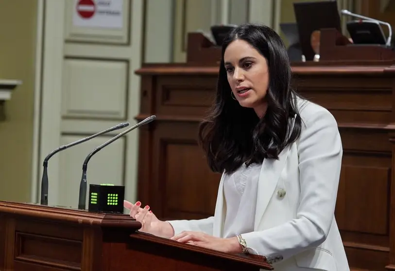 Vidina Espino, portavoz del Grupo Mixto en el Parlamento de Canarias.