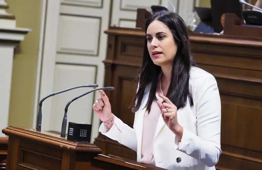 Vidina Espino durante su intervención en el parlamento Canario.