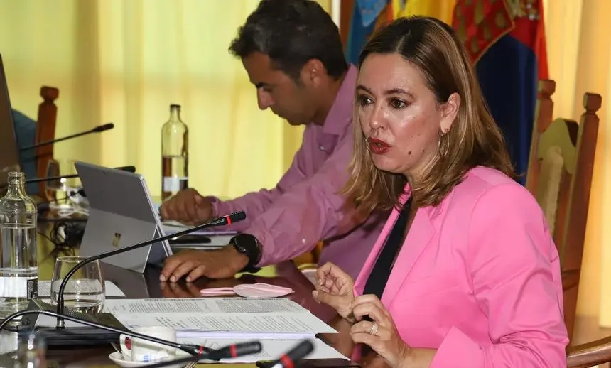 María Dolores Corujo durante el último pleno del Cabildo