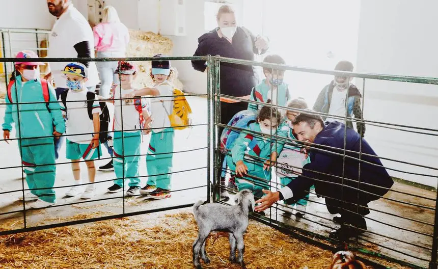 VISITA ESCOLARES A LA FERIA DE TEGUISE 1