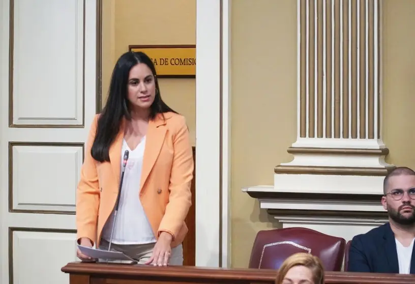 Vidina Espino, portavoz del Grupo Mixto en el Parlamento de Canarias.