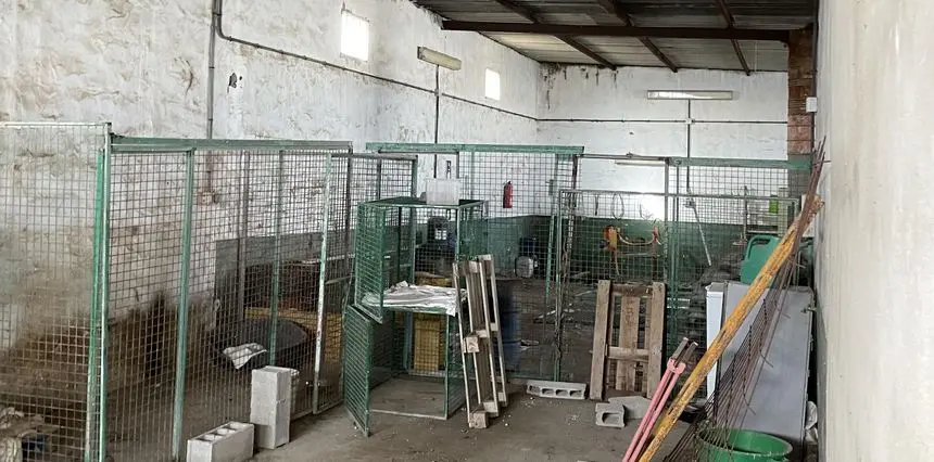 Imagen actual de la perrera municipal de Teguise