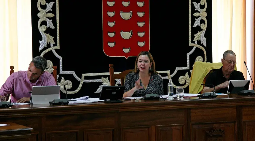 María Dolores Corujo durante la realización del pleno en el Cabildo.