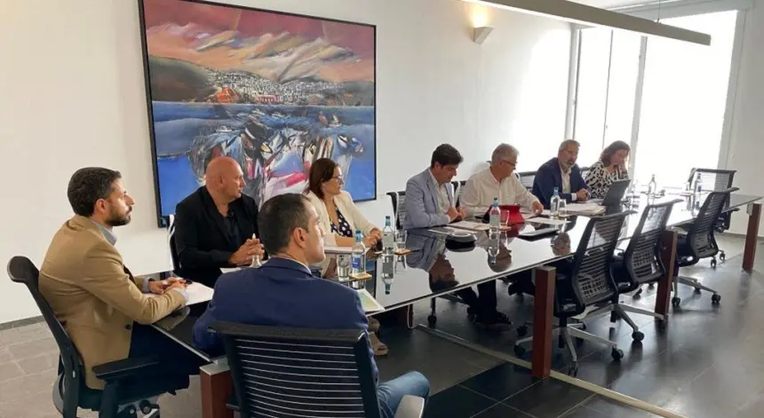 Comisión de Turismo de la Federación Canaria de Municipios.