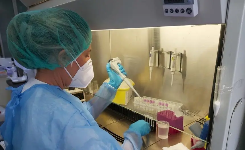 Imagen de una persona investigando posibles virus
