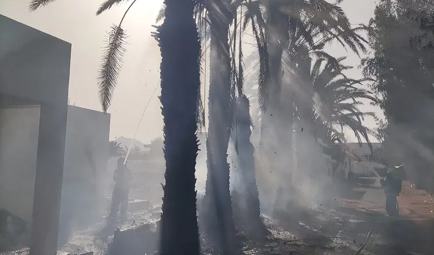Imagen de los bomberos sofocando el fuego en las palmeras.