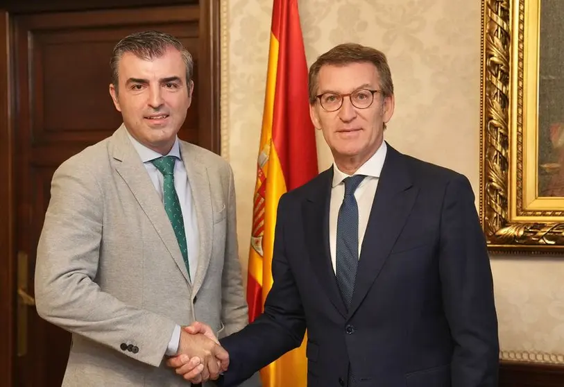 Manuel Domínguez y Alberto Núñez Feijóo en Madrid.