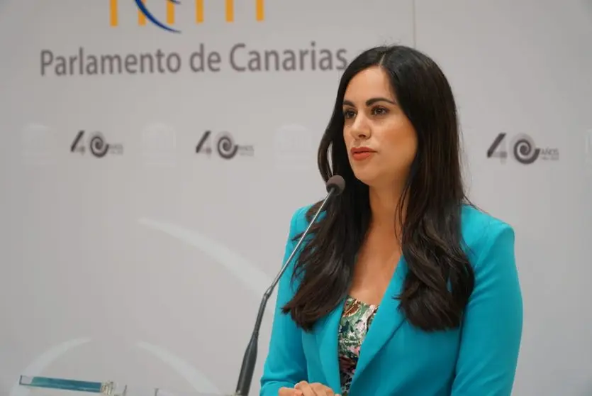 Vidina Espino, portavoz del Grupo Mixto en el Parlamento de Canarias.