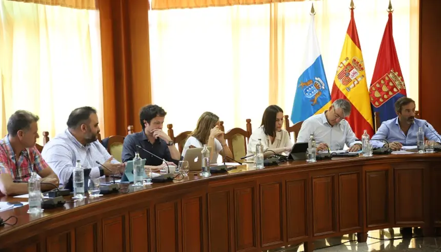 Imagen del grupo nacionalista durante el pleno en el Cabildo.