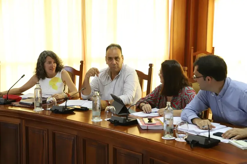 Imagen de Andrés Stinga en el pleno del Cabildo de Lanzarote.