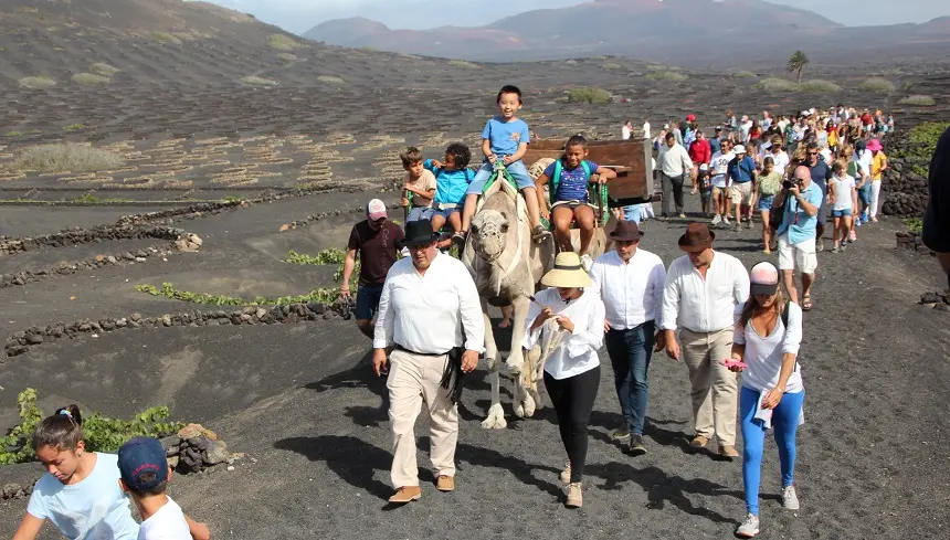 Imagen de la vendimia con camellos.