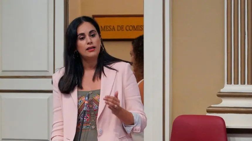 Vidina Espino, portavoz del Grupo Mixto en el Parlamento de Canarias.