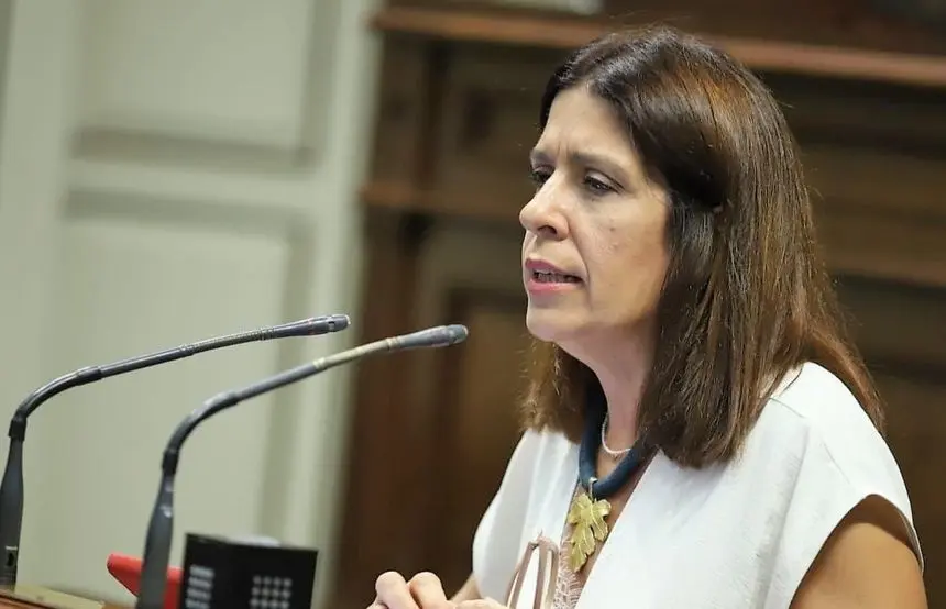 Carmen Hernández, diputada de Nueva Canarias.