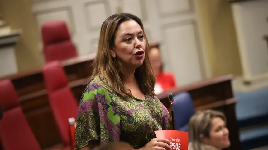 María Dolores Corujo en el Parlamento autonómico este martes.